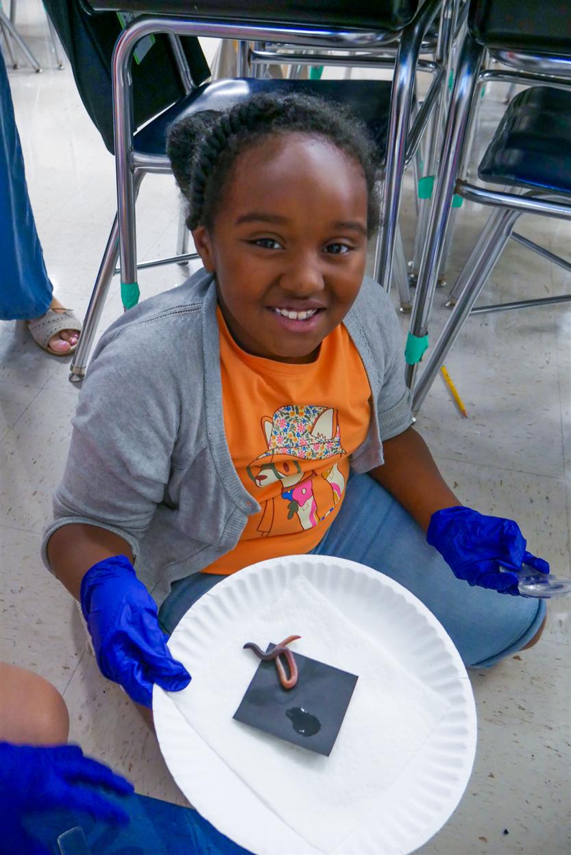 Students study earthworms in class